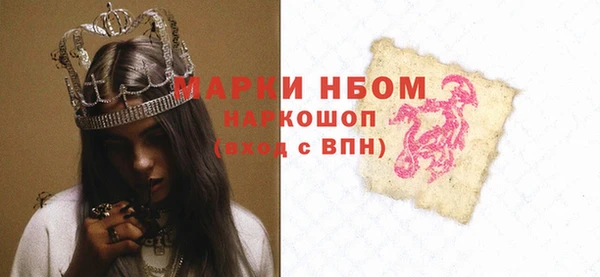 хмурый Абаза