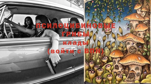 молекула духа Алексеевка