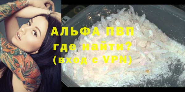 хмурый Абаза
