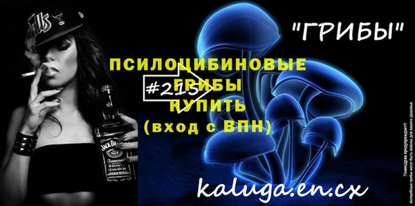 молекула духа Алексеевка